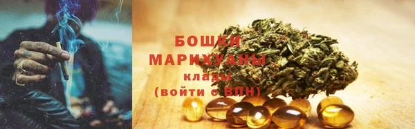 дживик Абаза