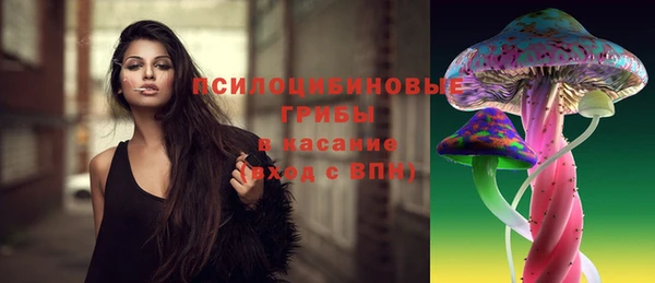 тгк Алзамай
