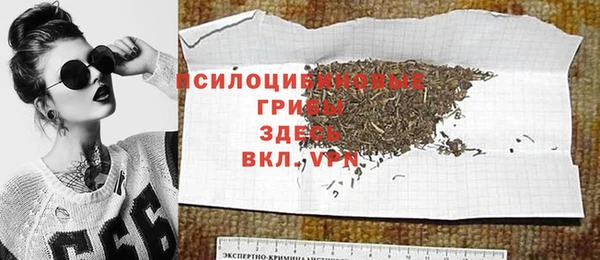 дживик Абаза