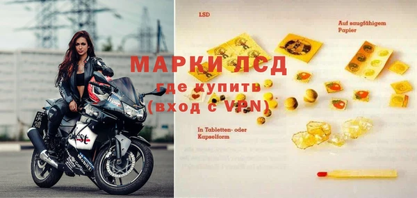тгк Алзамай